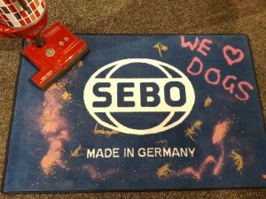 SEBO Felix Loves Dog Hair
