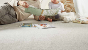 plush carpet vacuum
